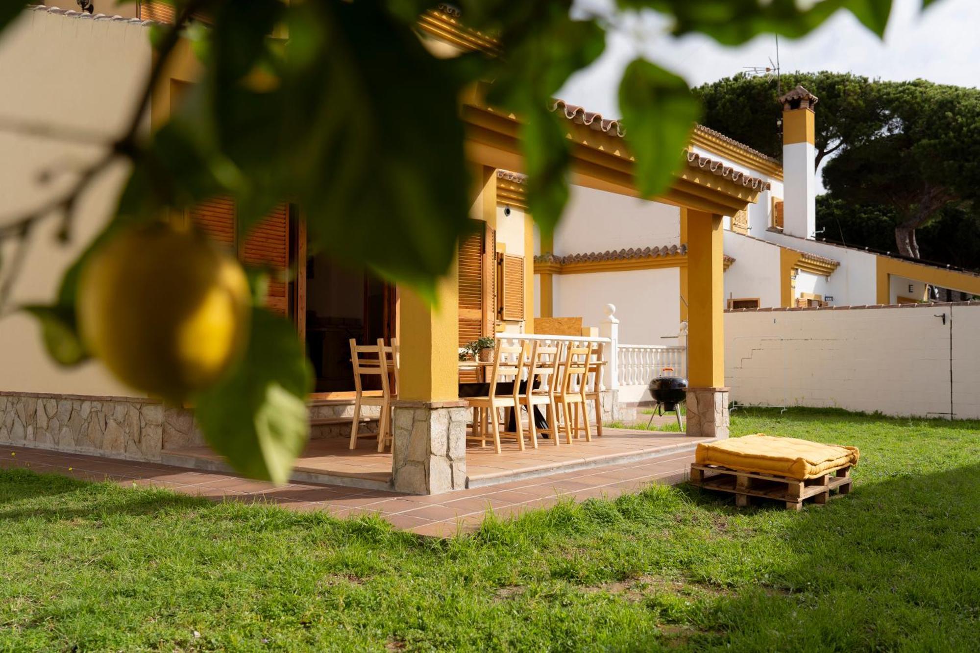 Namawa Surfhouse Hostel Chiclana de la Frontera Εξωτερικό φωτογραφία